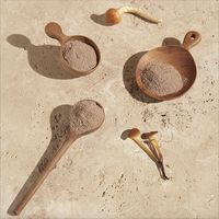 GoodMind Mushroom Powder Sachets